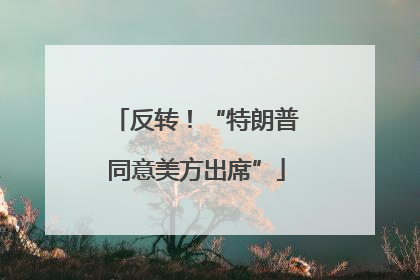 反转！“特朗普同意美方出席”