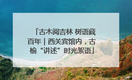 古木阅吉林 树语藏百年｜西关宾馆内，古榆“讲述”时光絮语