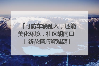 可防车辆乱入，还能美化环境，社区胡同口上新花箱巧解难题