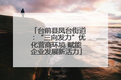 台前县凤台街道：“三向发力”优化营商环境 赋能企业发展新活力