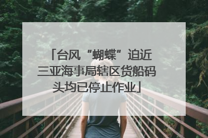 台风“蝴蝶”迫近 三亚海事局辖区货船码头均已停止作业