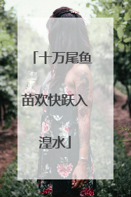十万尾鱼苗欢快跃入湟水