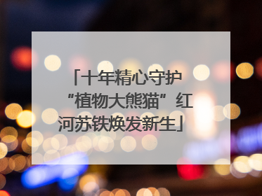 十年精心守护 “植物大熊猫”红河苏铁焕发新生