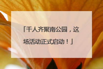 千人齐聚南公园，这场活动正式启动！