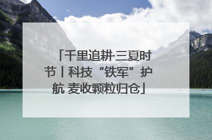 千里追耕·三夏时节丨科技“铁军”护航 麦收颗粒归仓
