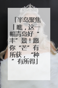 半岛聚焦丨瞧，这一幅青岛好“丰”景！愿你“芒”有所获，“种”有所得