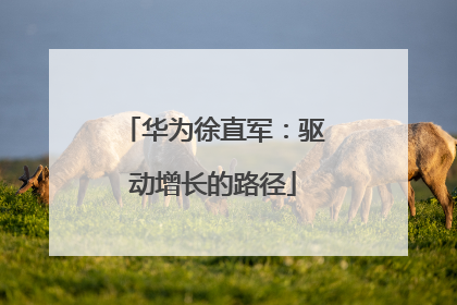 华为徐直军：驱动增长的路径