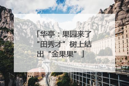 华亭：果园来了“田秀才”树上结出“金果果”