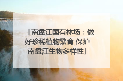 南盘江国有林场：做好珍稀植物繁育 保护南盘江生物多样性