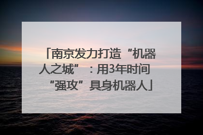 南京发力打造“机器人之城”：用3年时间“强攻”具身机器人