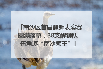 南沙区首届醒狮表演赛圆满落幕，38支醒狮队伍角逐“南沙狮王”