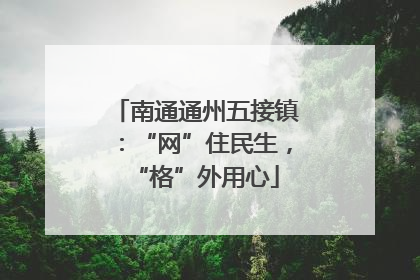 南通通州五接镇：“网”住民生，“格”外用心