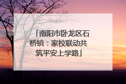 南阳市卧龙区石桥镇：家校联动共筑平安上学路