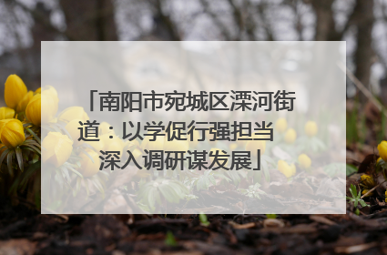 南阳市宛城区溧河街道：以学促行强担当 深入调研谋发展