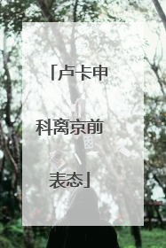 卢卡申科离京前表态