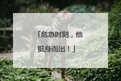 危急时刻，他挺身而出！
