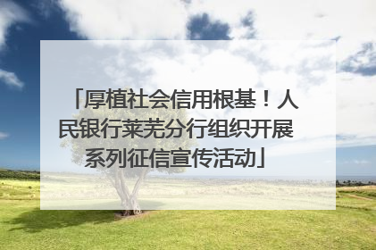 厚植社会信用根基！人民银行莱芜分行组织开展系列征信宣传活动
