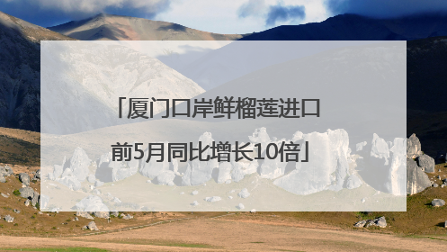 厦门口岸鲜榴莲进口 前5月同比增长10倍