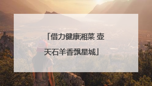 借力健康湘菜 壶天石羊香飘星城