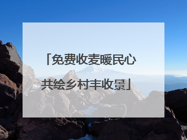 免费收麦暖民心 共绘乡村丰收景