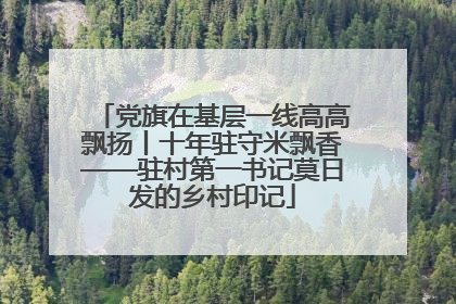 党旗在基层一线高高飘扬丨十年驻守米飘香——驻村第一书记莫日发的乡村印记