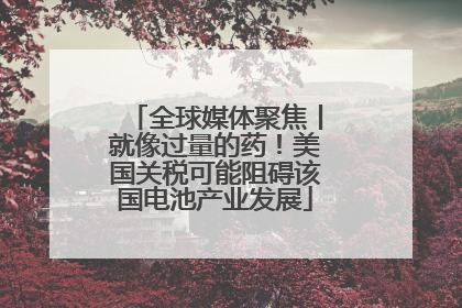 全球媒体聚焦丨就像过量的药！美国关税可能阻碍该国电池产业发展