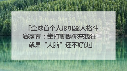 全球首个人形机器人格斗赛落幕：拳打脚踢你来我往 就是“大脑”还不好使