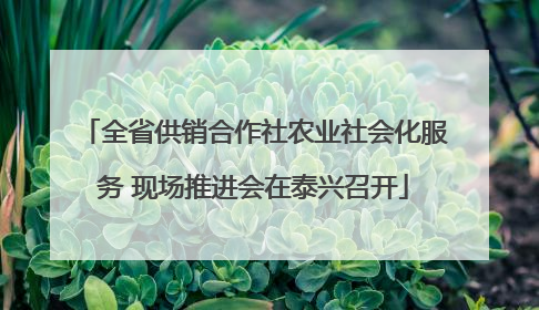 全省供销合作社农业社会化服务 现场推进会在泰兴召开