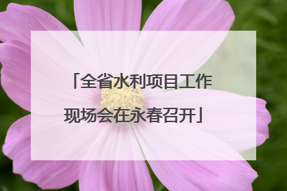 全省水利项目工作现场会在永春召开