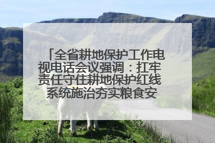 全省耕地保护工作电视电话会议强调：扛牢责任守住耕地保护红线 系统施治夯实粮食安全根基 王宁作出批示 王予波出席并讲话