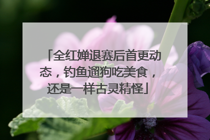 全红婵退赛后首更动态，钓鱼遛狗吃美食，还是一样古灵精怪