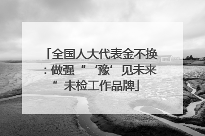 全国人大代表金不换：做强“‘豫’见未来”未检工作品牌