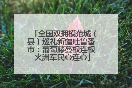 全国双拥模范城（县）巡礼新疆吐鲁番市：葡萄藤蔓根连根 火洲军民心连心