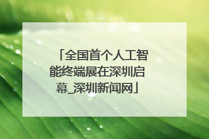 全国首个人工智能终端展在深圳启幕_深圳新闻网