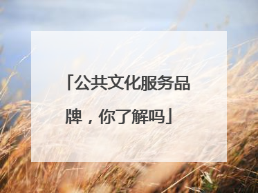 公共文化服务品牌，你了解吗