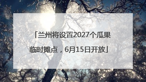 兰州将设置2027个瓜果临时摊点，6月15日开放
