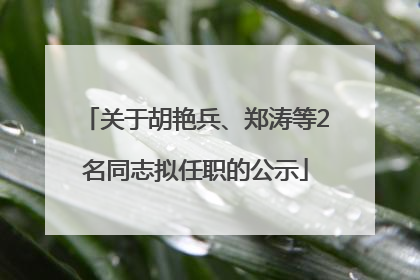 关于胡艳兵、郑涛等2名同志拟任职的公示