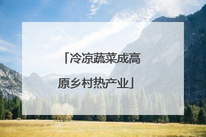 冷凉蔬菜成高原乡村热产业