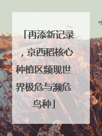 再添新记录，京西稻核心种植区频现世界极危与濒危鸟种