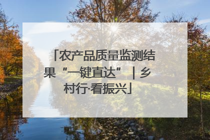农产品质量监测结果“一键直达”｜乡村行·看振兴