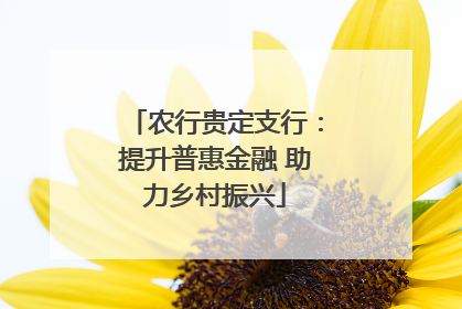 农行贵定支行：提升普惠金融 助力乡村振兴