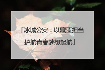冰城公安：以藏蓝担当 护航青春梦想起航