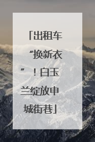 出租车“换新衣”！白玉兰绽放申城街巷