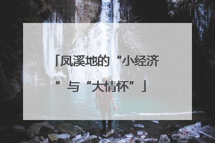 凤溪地的“小经济”与“大情怀”