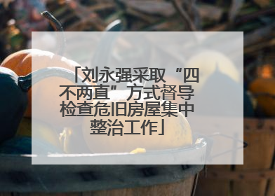 刘永强采取“四不两直”方式督导检查危旧房屋集中整治工作
