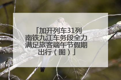 加开列车31列 南铁九江车务段全力满足旅客端午节假期出行（图）