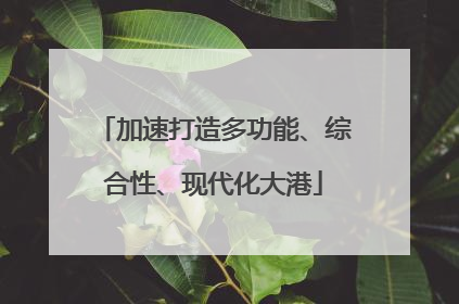 加速打造多功能、综合性、现代化大港