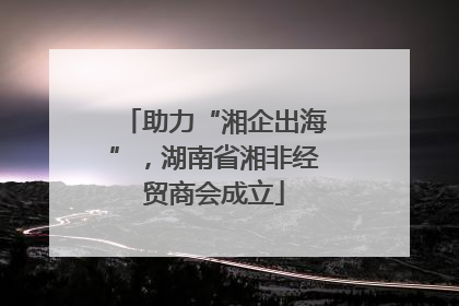 助力“湘企出海”，湖南省湘非经贸商会成立