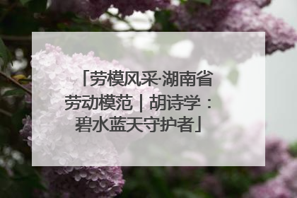劳模风采·湖南省劳动模范｜胡诗学：碧水蓝天守护者
