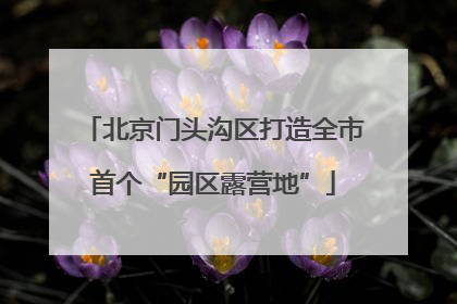 北京门头沟区打造全市首个“园区露营地”